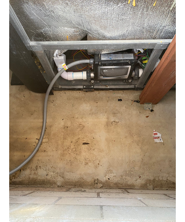 Jacuzzi® J-19™ PowerActive™ Swim Spa Package - Platinum Smoked Ebony