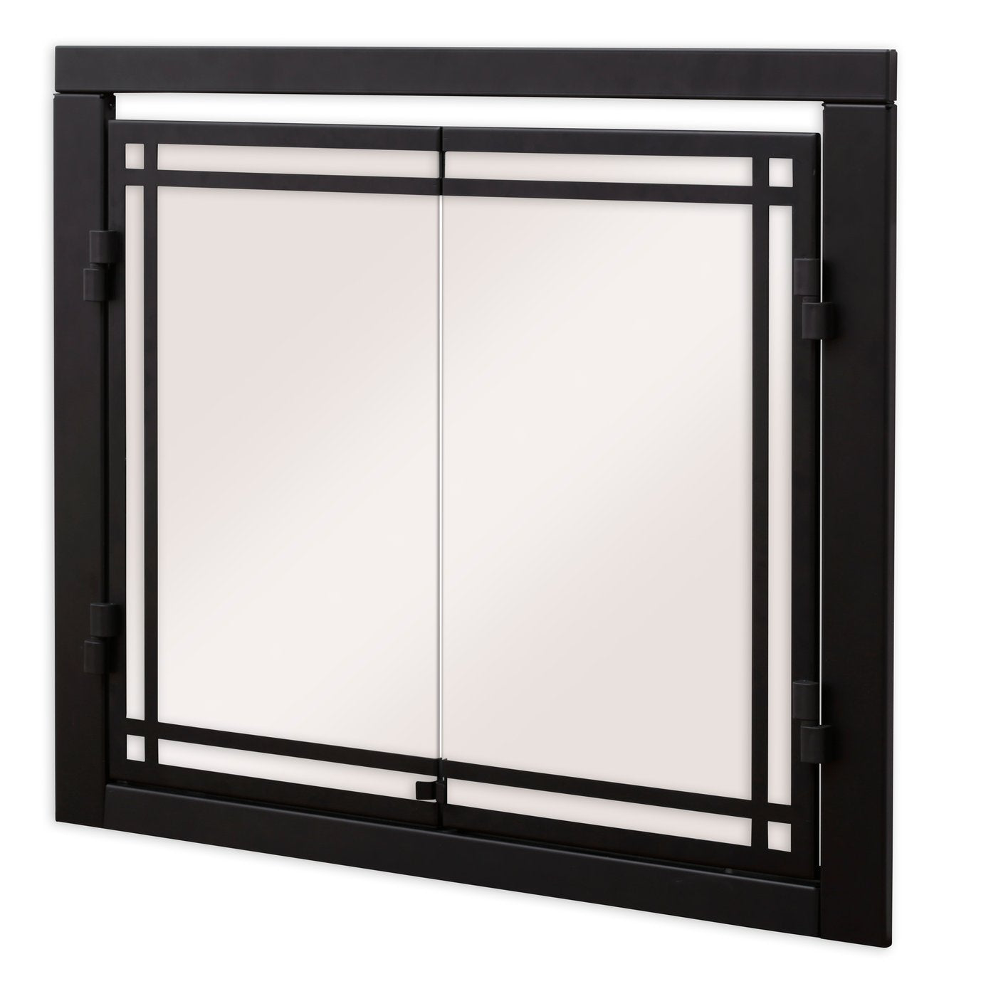 30" Dimplex Revillusion® Double Glass Doors RBFDOOR30