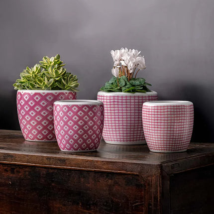 Collection image for: Pink Planters