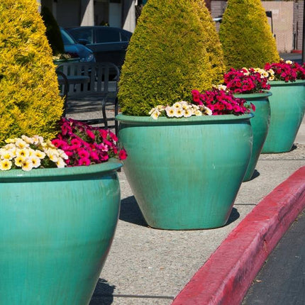 Collection image for: 17" Planters