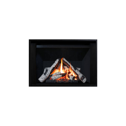 Collection image for: Valor® H3 Gas Fireplaces w/ Birch Logs