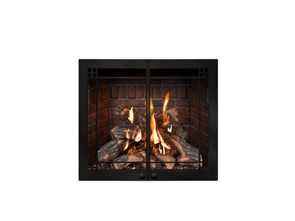 Collection image for: Mendota® FV41 FullView Traditional Gas Fireplaces