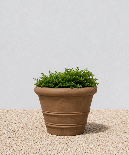 Campania Classic Rolled Rim 18.25" W x 13" H Round Cast Stone Planter P-540-PN - Pietra Nuova