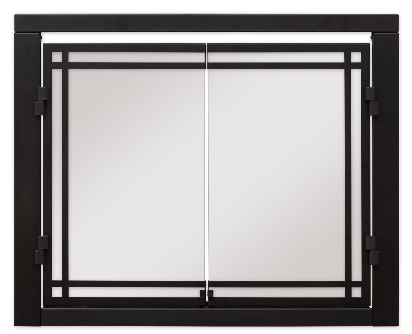 30" Dimplex Revillusion® Double Glass Doors RBFDOOR30